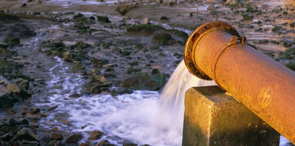 2025年生态观察:呆河马与河马王差异解析,谁才是自然水域中的强者新标杆? 2025年生态观察:呆河马与河马王差异解析,谁才是自然水域中的强者新标杆?