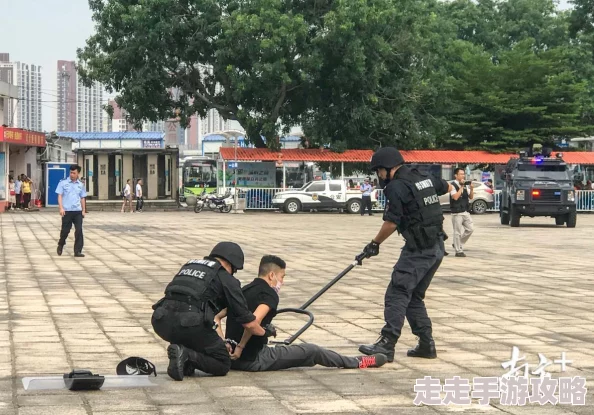 反恐精英＊哪款更好用？全面对比分析