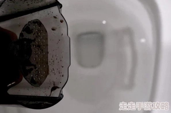 开放空间角色攻略:芙的技能与玩法详解 开放空间角色攻略:芙的技能与玩法详解