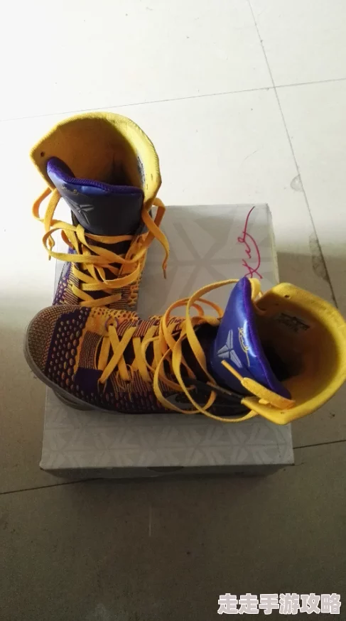 决胜巅峰勇士战靴鼓舞,探秘顶级运动装备魅力 决胜巅峰勇士战靴鼓舞,探秘顶级运动装备魅力