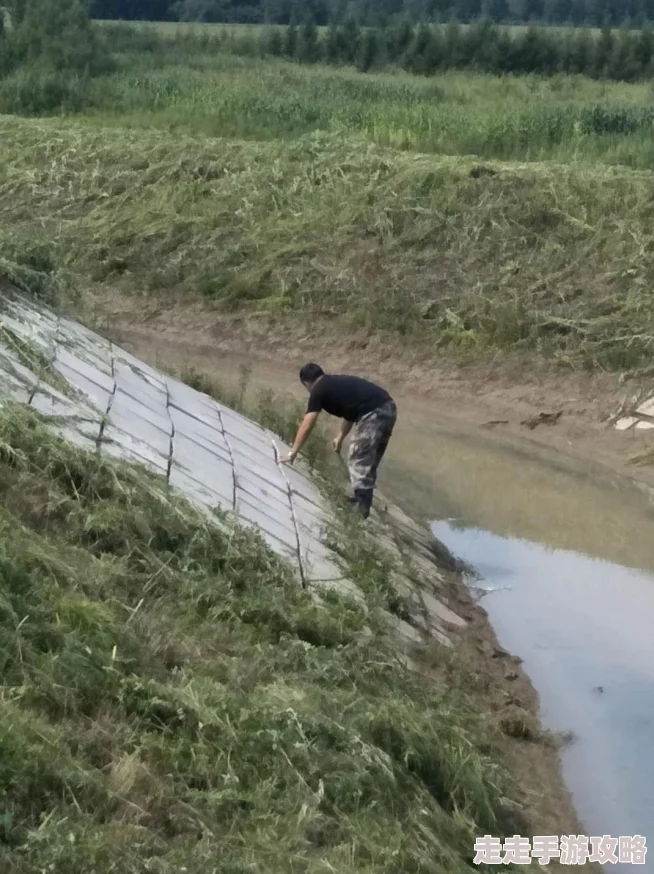 家园卫士武器选择指南:三件装备搭配技巧解析 家园卫士武器选择指南:三件装备搭配技巧解析