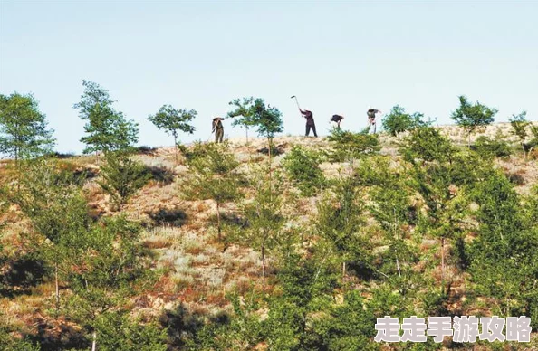 家园卫士武器选择指南:三件装备搭配技巧解析 家园卫士武器选择指南:三件装备搭配技巧解析